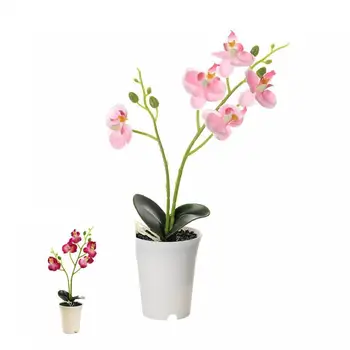 Viltus Bonsai Nav Laistīšanas Mūsdienu Spilgts Elegants Mākslīgā Orhideja Bonsai